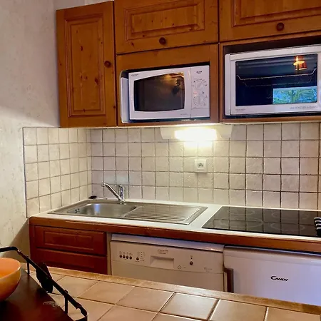 Appartement Cosy Au Pied Des Pistes Avec Balcon Et Animaux Admis - Fr-1-811-19 Les Deux Alpes